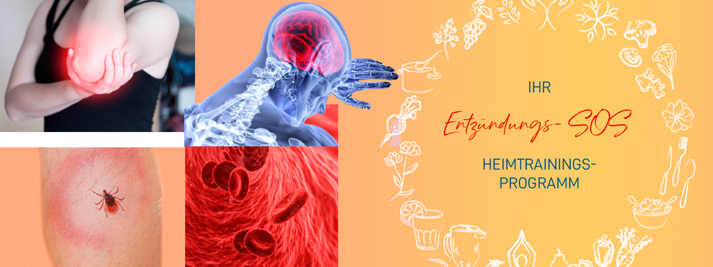 Header mobile_ Entzündungsprogramm