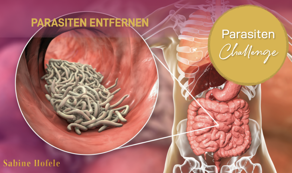 Wie Bekommt Man Parasiten Aus Dem Körper giftarm-leben.de